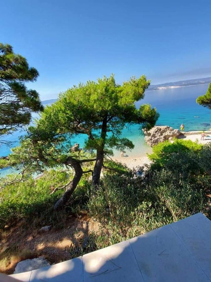 Apartmani Lucica Mimice Extérieur photo